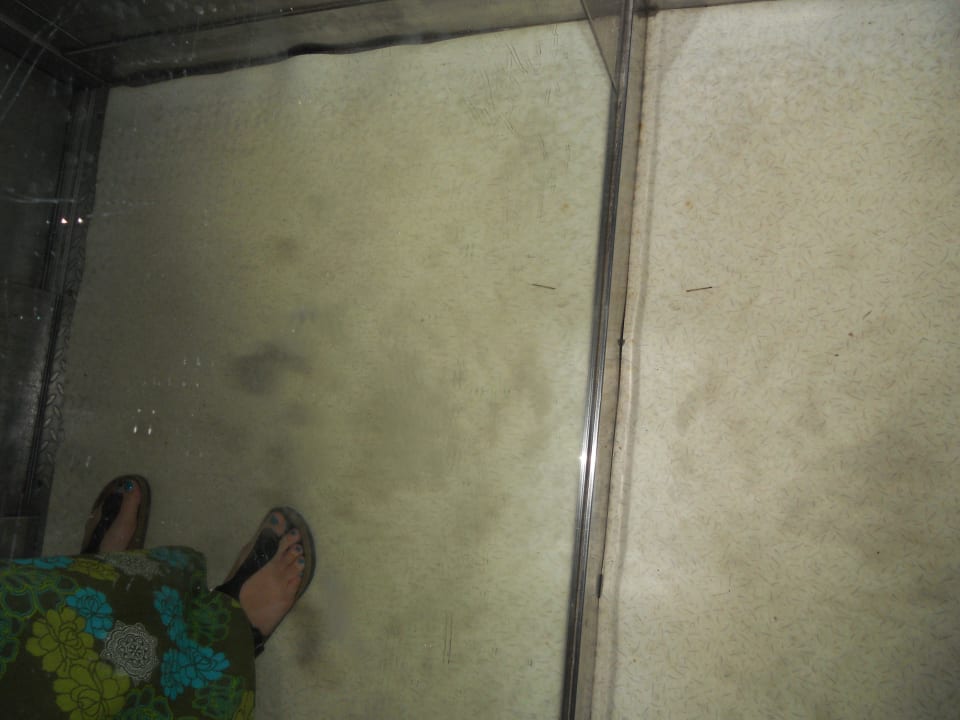 Nochmal der Aufzug Side Alegria Hotel & Spa - Adults only +16