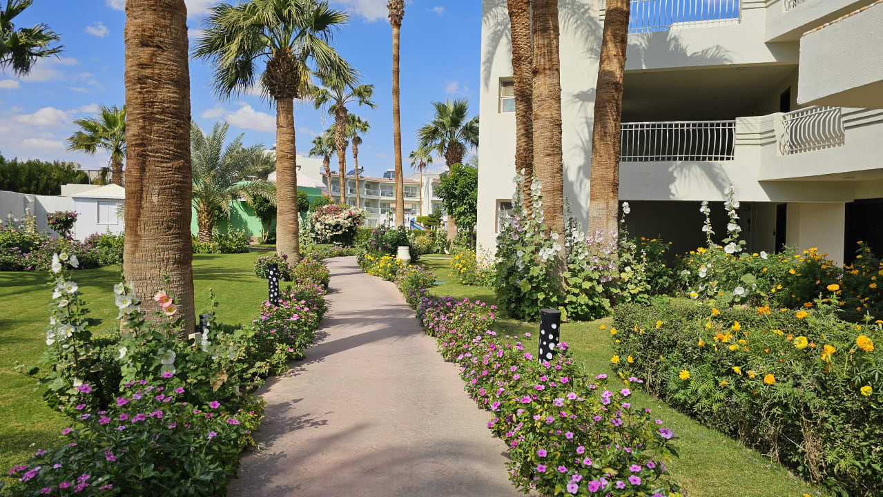 Gartenanlage Amarina Abu Soma Resort & Aquapark