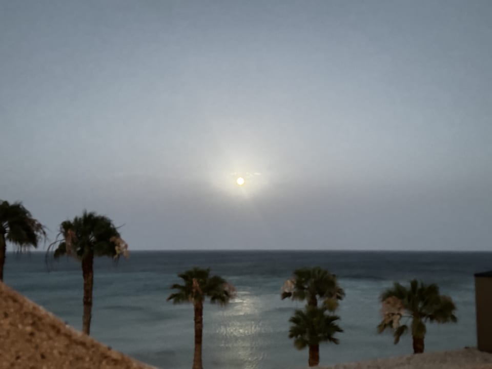 Ausblick SBH Hotel Taro Beach