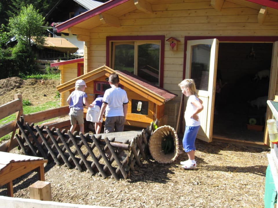 Streichelzoo Boutique Hotel Martha