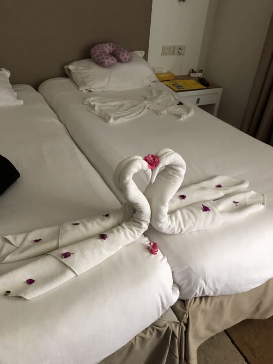 Zimmer TUI MAGIC LIFE Penelope Beach