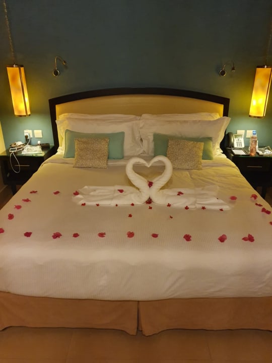Zimmer The Cove Rotana Resort