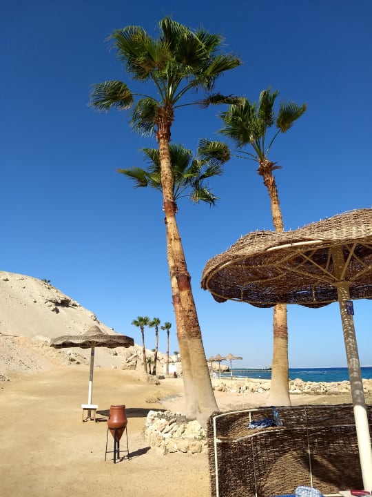 Strand Pickalbatros Citadel Resort