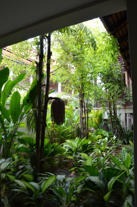 Vor dem Zimmer Khaolak Oriental Resort - Adults only