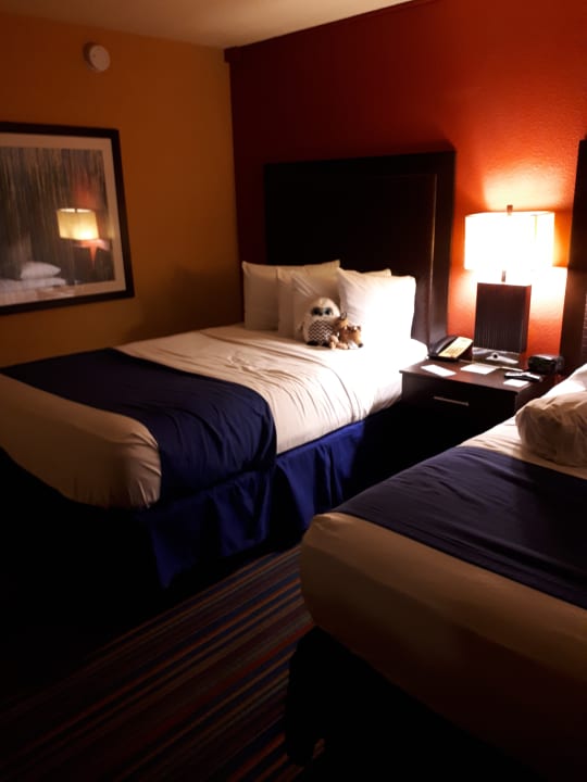 Zimmer CoCo Key Hotel & Water Resort Orlando