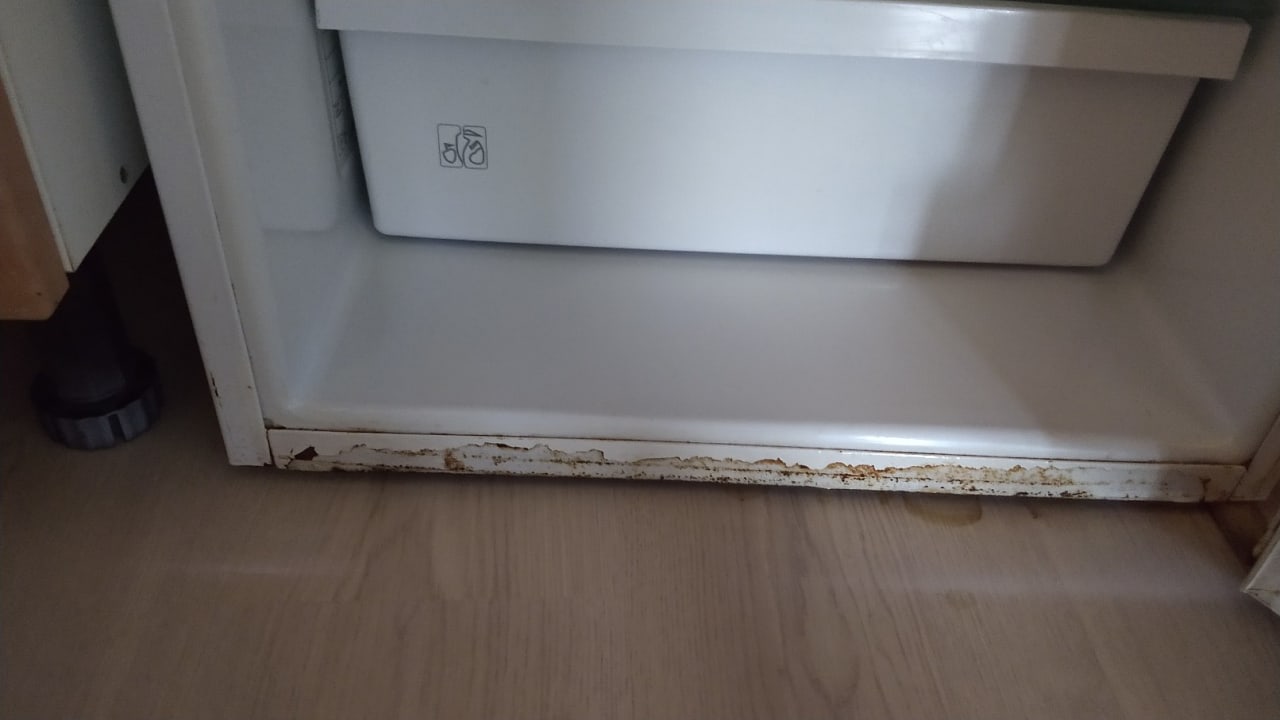 Zimmer Alcudia Garden Aparthotel