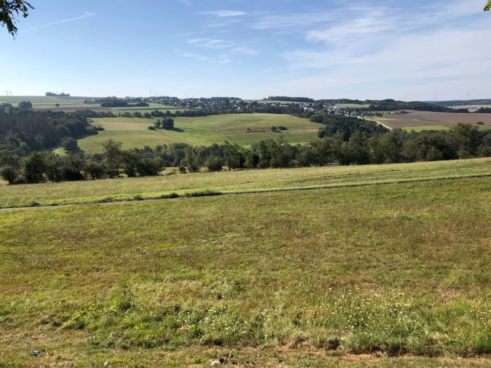 Außenansicht Moselstern Hotel Zum guten Onkel