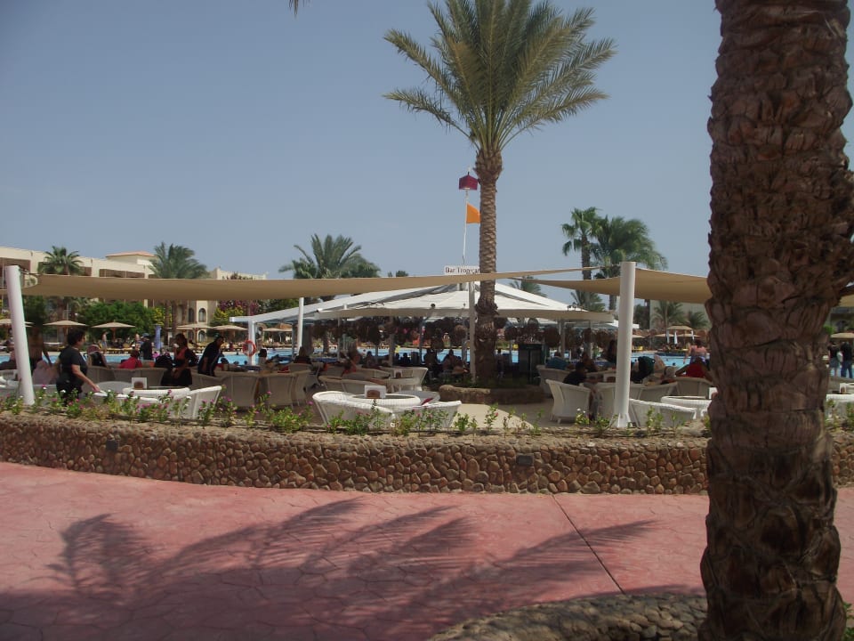 Restaurant Desert Rose