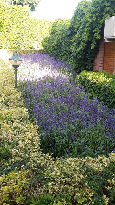 Gartenanlage Can Garden Beach