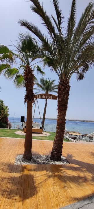 Gartenanlage Fort Arabesque Resort, Spa & Villas