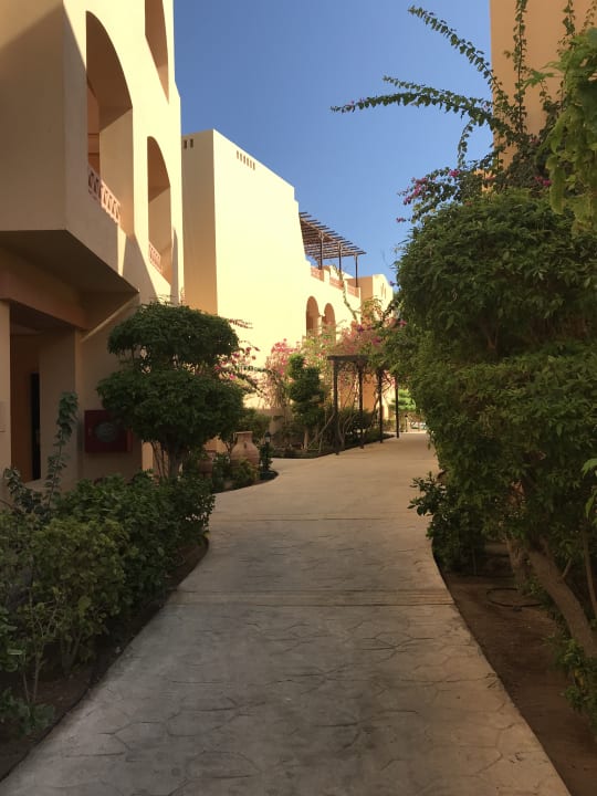 Gartenanlage Steigenberger Coraya Beach - Adults only