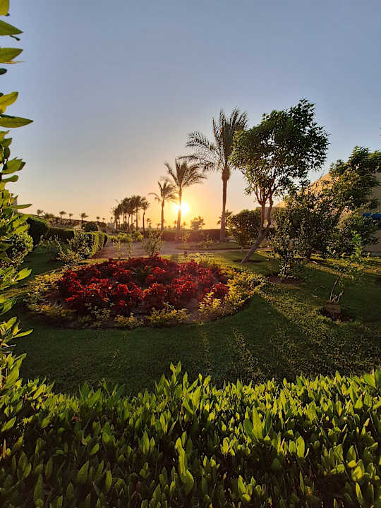 Gartenanlage Steigenberger Makadi Hotel - Adults only