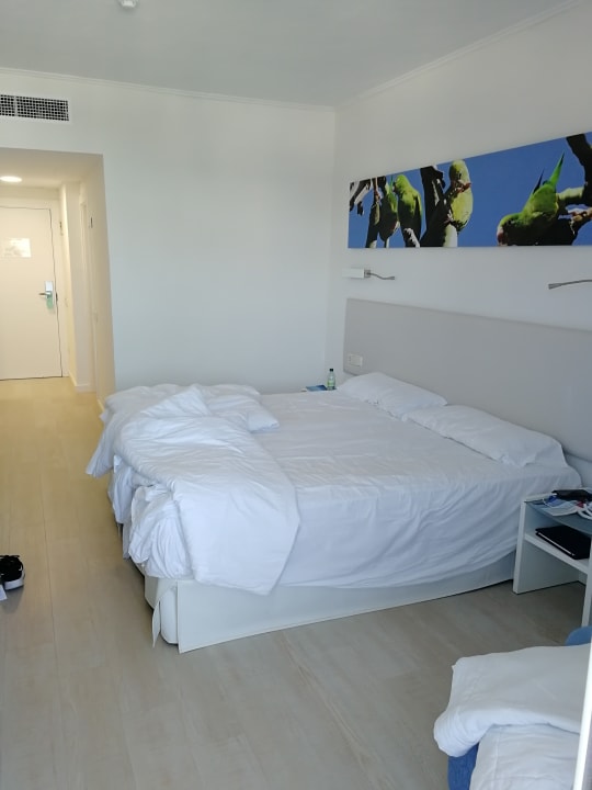 Zimmer Iberostar Waves Bouganville Playa