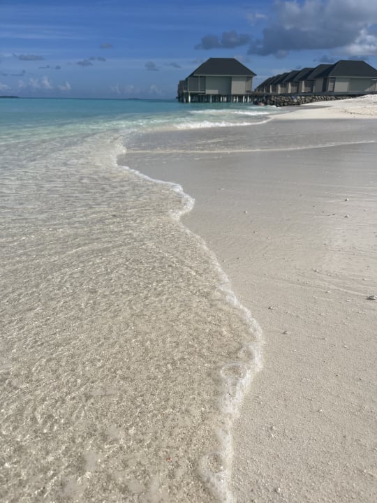Strand Summer Island Maldives