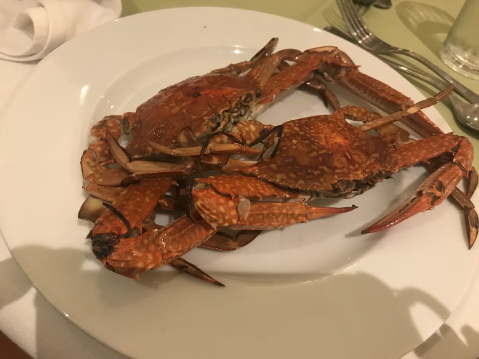Gastro Pharaoh Azur Resort