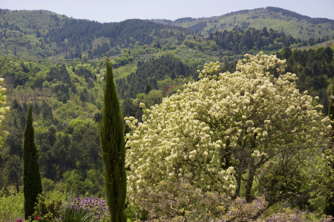 Gartenanlage Ventena Vecchia antico frantoio