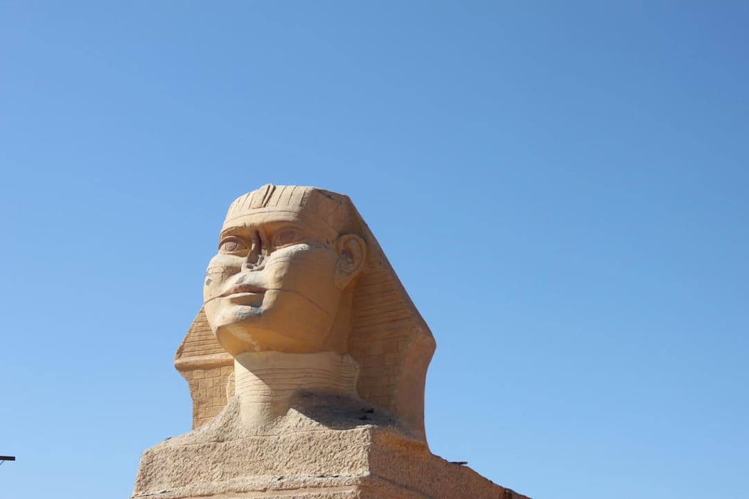 Arena  Pickalbatros Alf Leila Wa Leila Resort - Neverland Hurghada