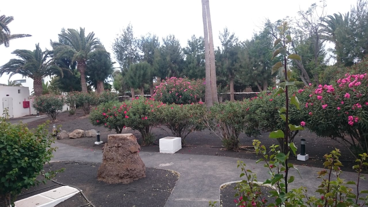 Sehr gepflegt Relaxia Olivina