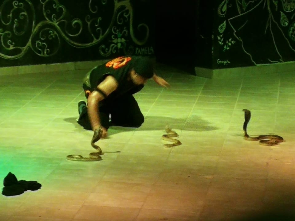 Sport & Freizeit Three Corners Sea Beach Resort