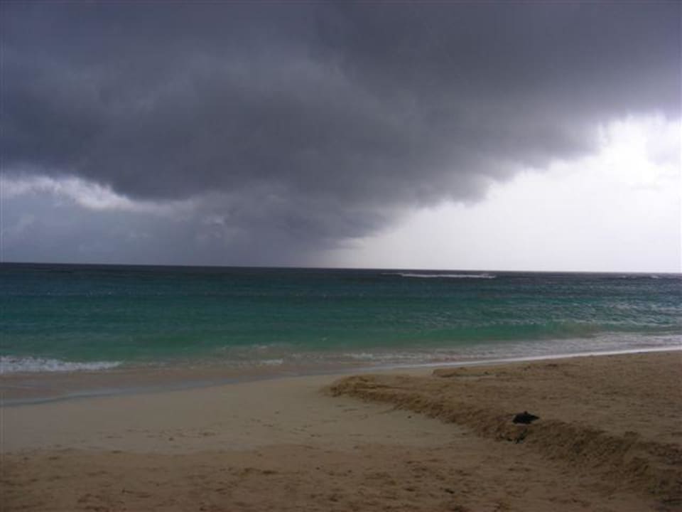 Plaża hotelowa Royalton Splash Punta Cana