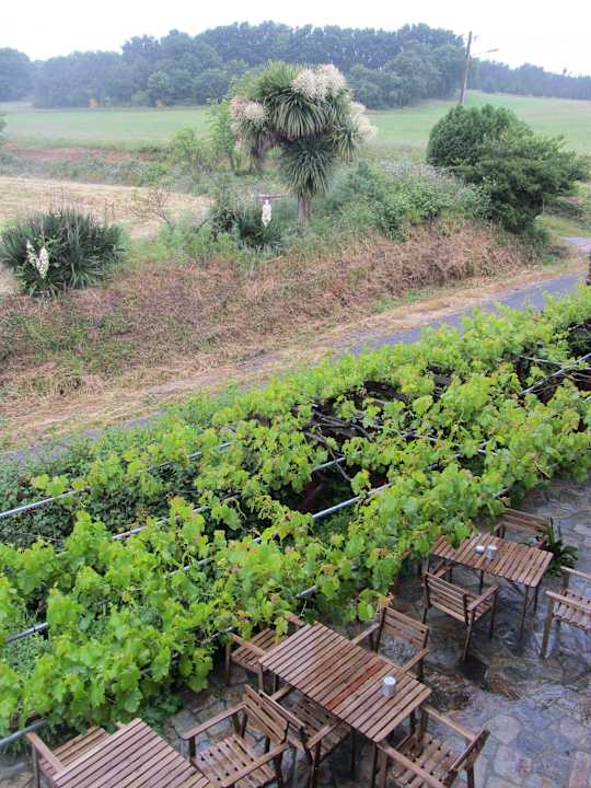 Вид из окна Hotel Casa de Diaz