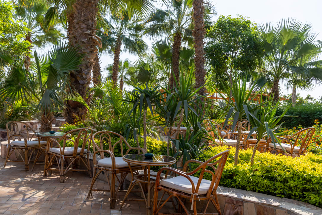 Gastro Fort Arabesque Resort, Spa & Villas