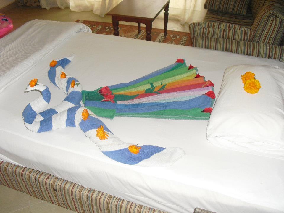 Täglich was anderes. Super! Titanic Beach Spa & Aqua Park