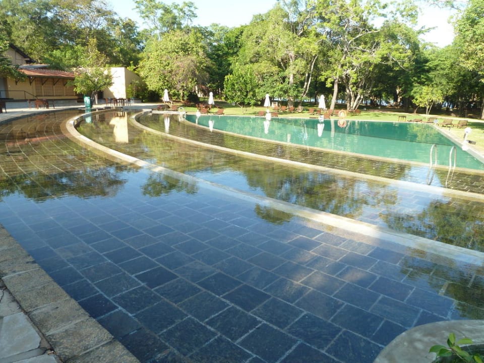 Pool Habarana Village by Cinnamon