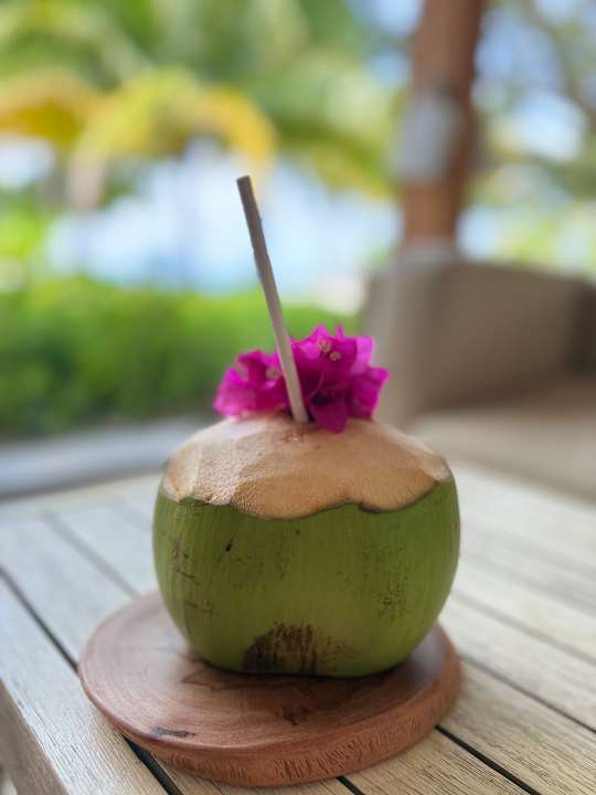 Gastro Fiyavalhu Resort Maldives