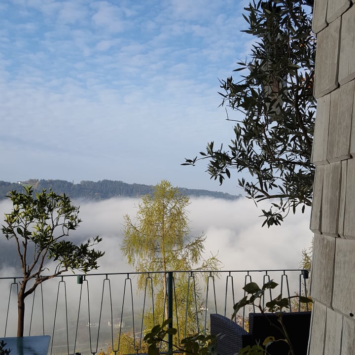 Ausblick Landhaus Falkner