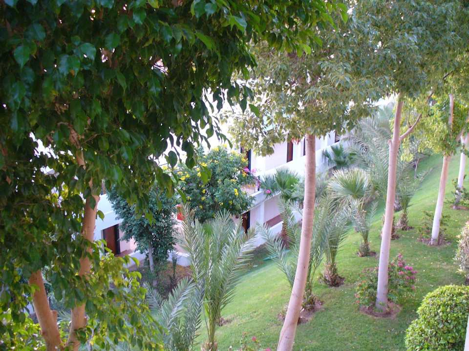 Blick in die Gartenanlage Sultan Gardens Resort