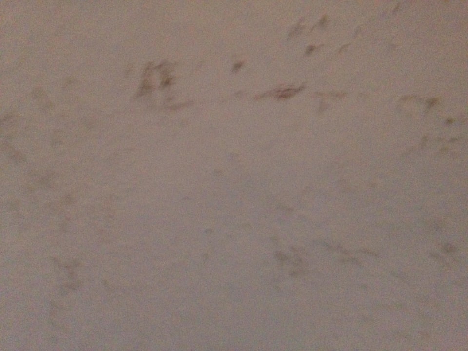 Zimmer alt  Hotel Schwarzer Adler