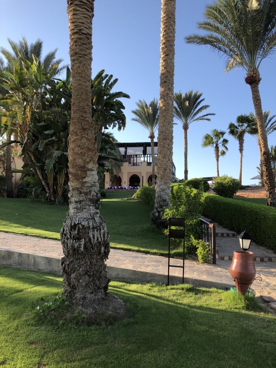 Garten Steigenberger Coraya Beach - Adults only