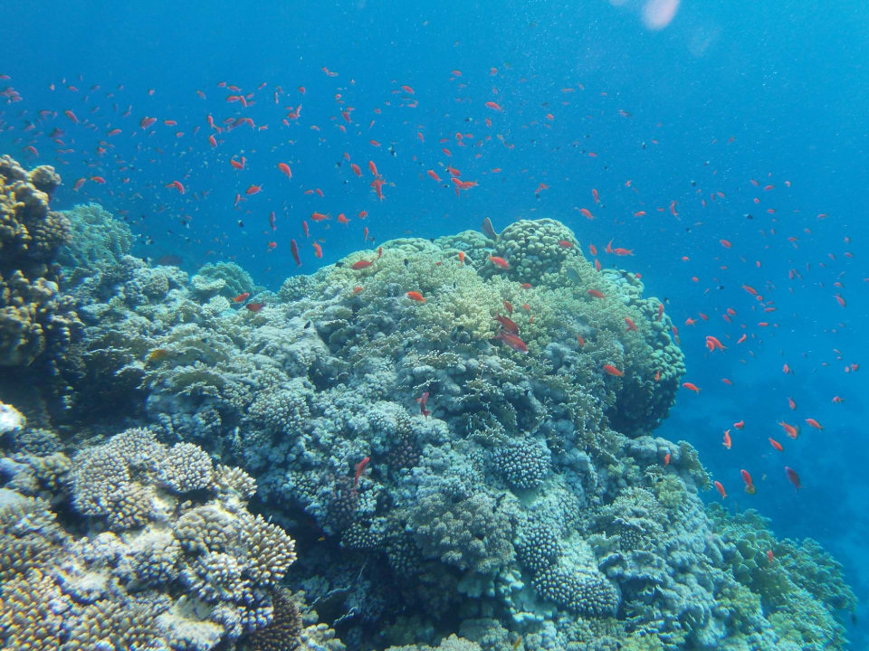 Strand Casa Mare Resort