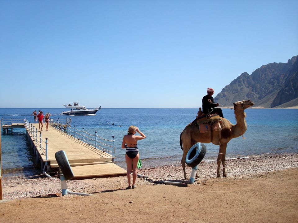 Steg ins Meer Happy Life Village