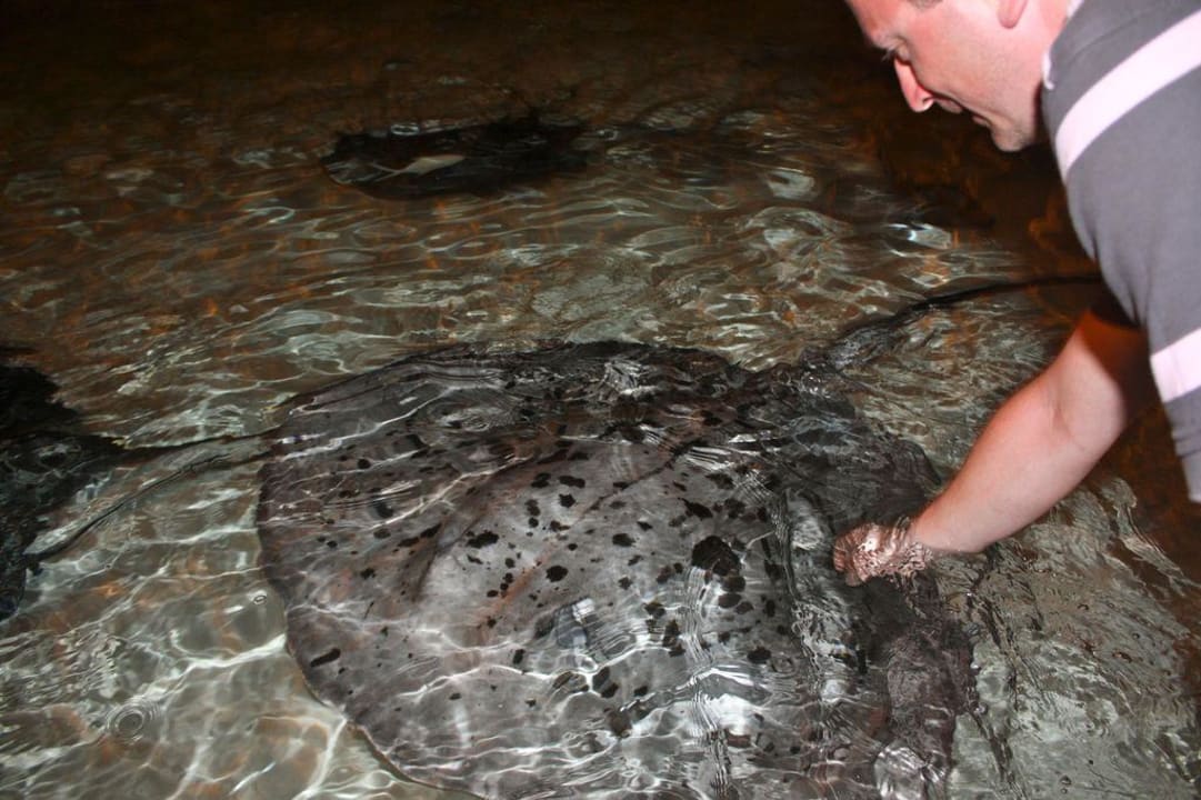 Ganz ruhig Kleiner Villa Park Sun Island