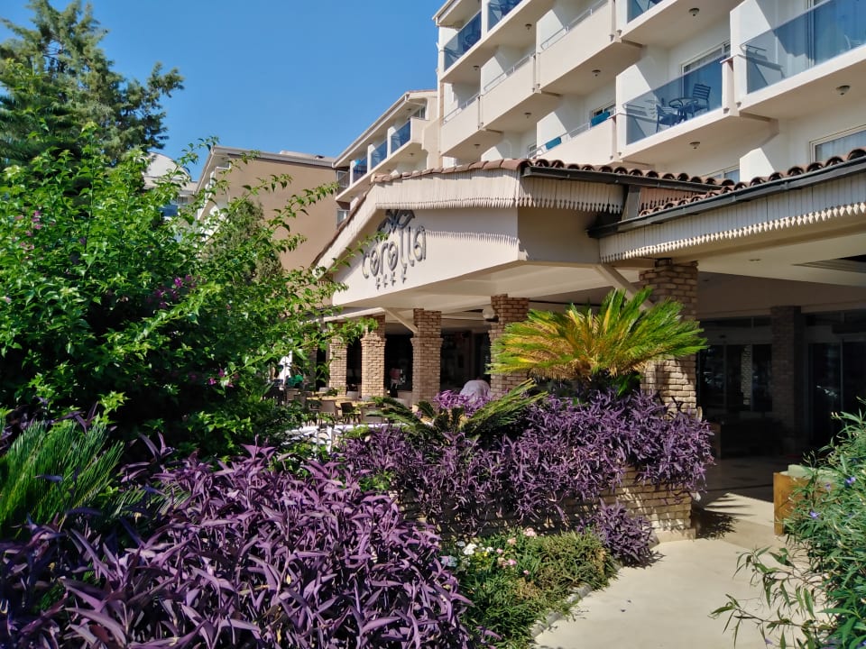 Lobby Seaden Corolla Hotel