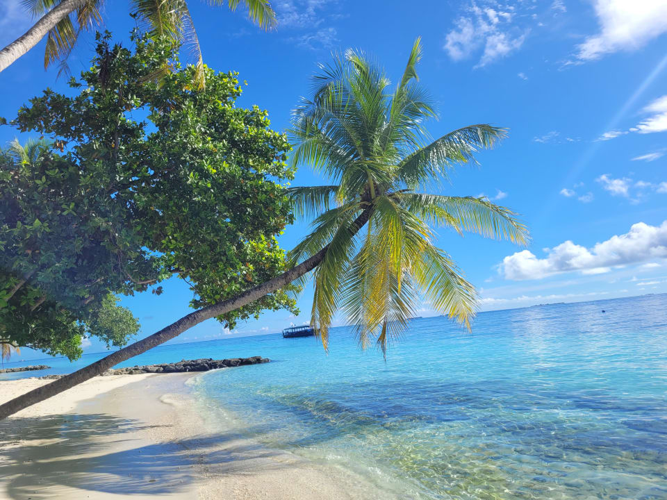 Strand Fihalhohi Maldives