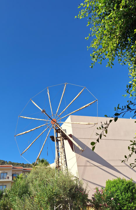 Gartenanlage Cactus Royal