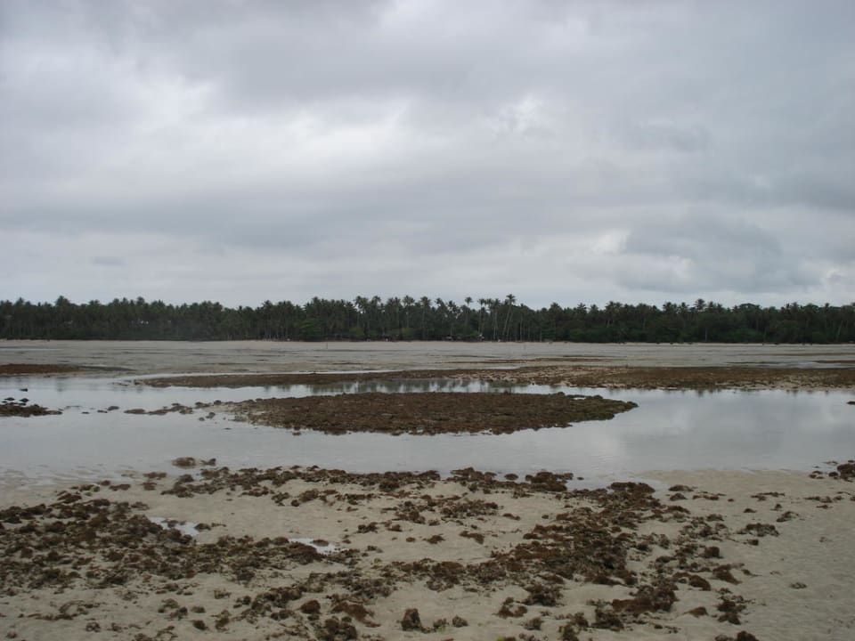 Hotel vom Strand aus bei Ebbe Anima Hotel