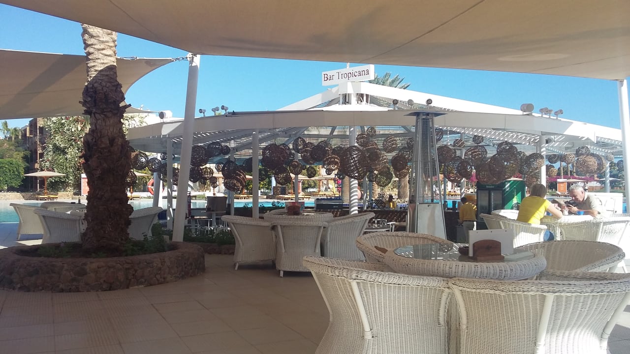 Eine der zahlreichen Bars! Desert Rose