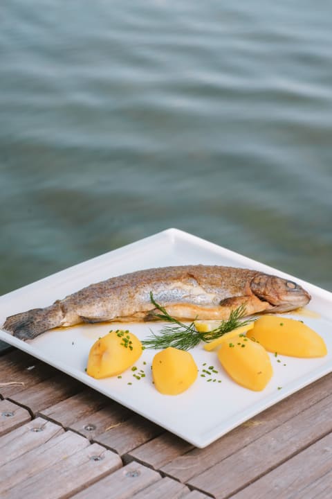 Gastro Gasthof Alpenrose am Reschenpass