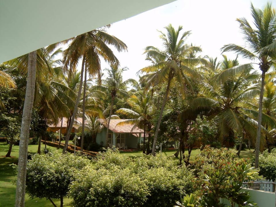 Blick vom Zimmer in die Anlage Wyndham Alltra Samana