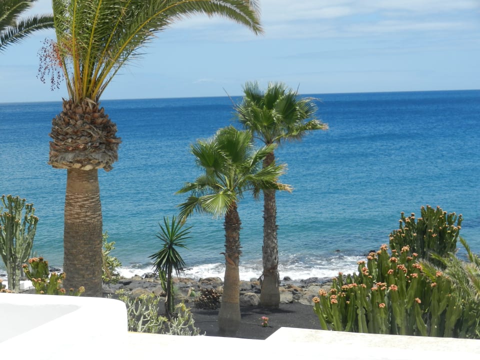 Ausblick auf den Strand  Hotel Las Costas