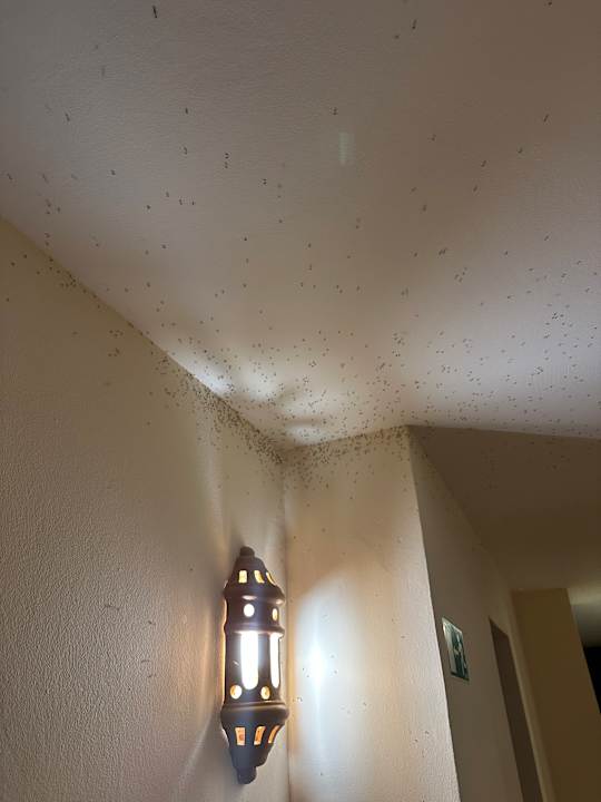 Sonstiges Hotel Riu Karamboa