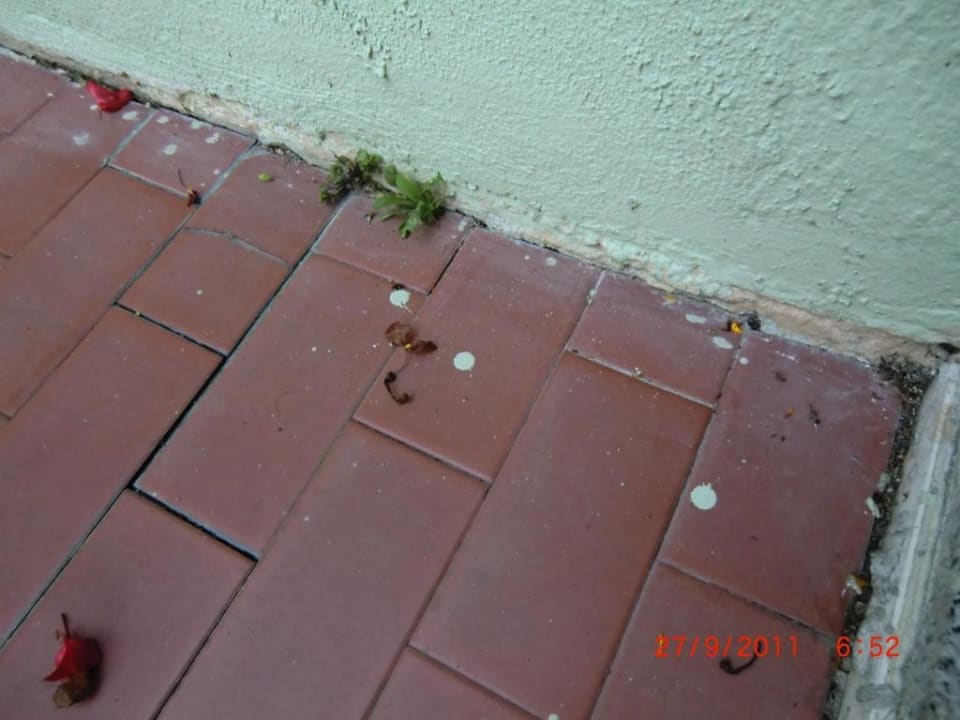 Zimmerterrasse Centro Vacanze La Limonaia