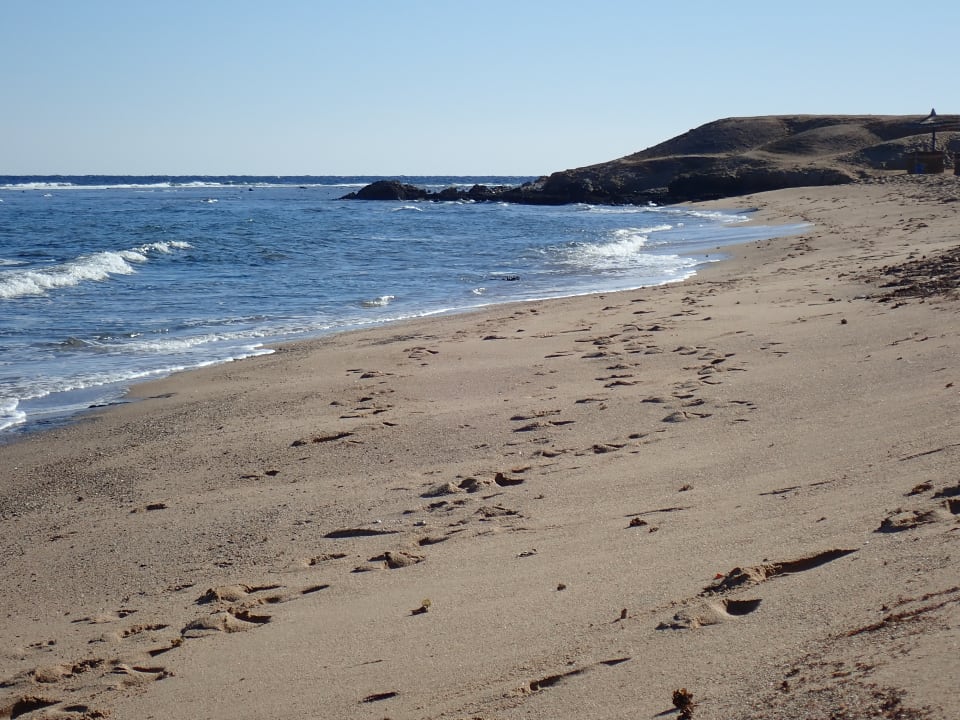 Strand Coral Sun Beach