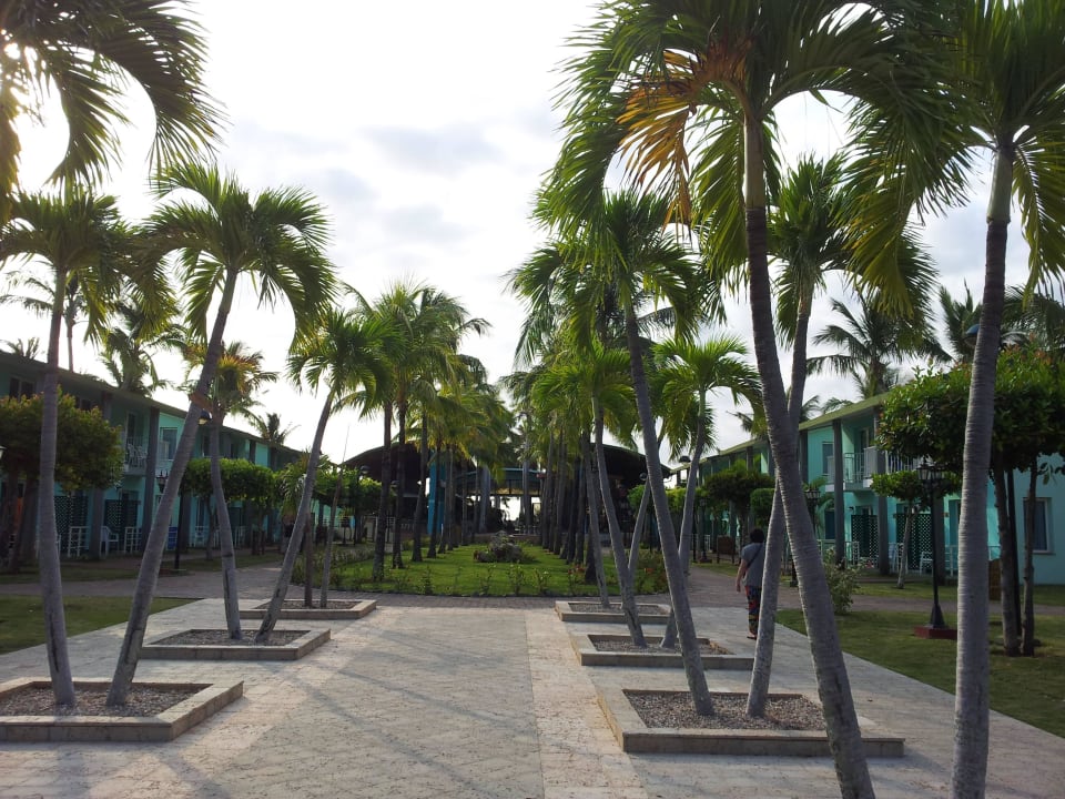 Der Weg zum Essen Sol Hicacos Varadero