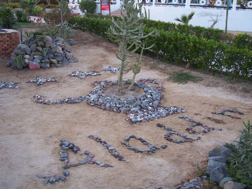 Kurz vorm Strand Aladdin Beach Resort