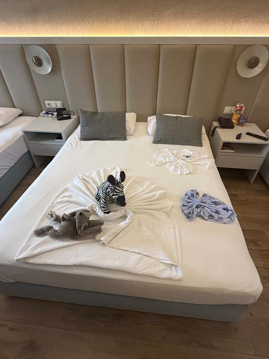 Zimmer Dream Water World